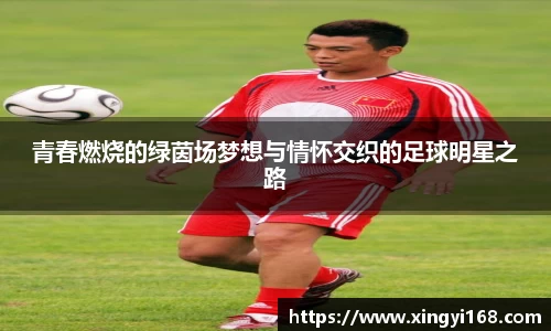 青春燃烧的绿茵场梦想与情怀交织的足球明星之路