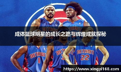 成体篮球明星的成长之路与辉煌成就探秘